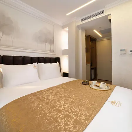 Hotel Stern Karakoey-special Class Istanbul