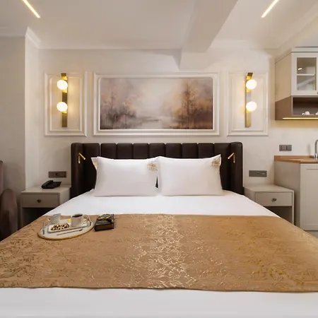 Stern Karakoey-special Class Hotel Istanbul